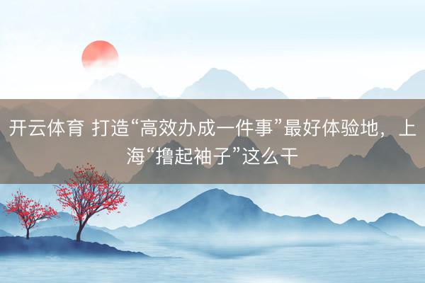 开云体育 打造“高效办成一件事”最好体验地，上海“撸起袖子”这么干