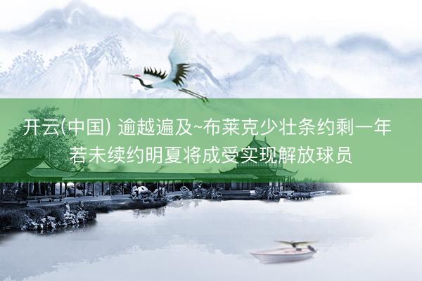 开云(中国) 逾越遍及~布莱克少壮条约剩一年 若未续约明夏将成受实现解放球员