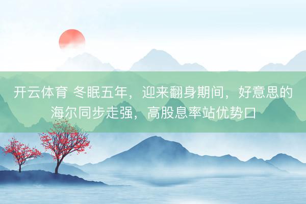 开云体育 冬眠五年，迎来翻身期间，好意思的海尔同步走强，高股息率站优势口