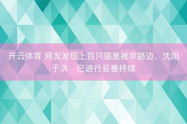 开云体育 网友发现上百只猫崽被弃路边，沈阳于洪：已进行妥善持续
