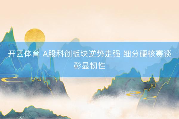 开云体育 A股科创板块逆势走强 细分硬核赛谈彰显韧性