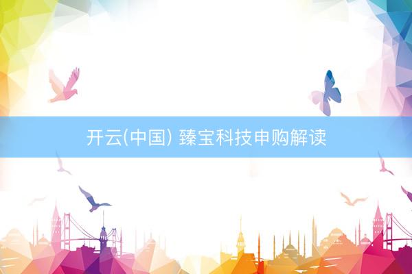开云(中国) 臻宝科技申购解读