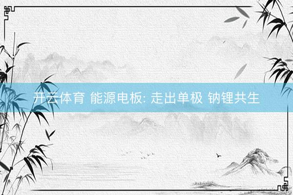 开云体育 能源电板: 走出单极 钠锂共生