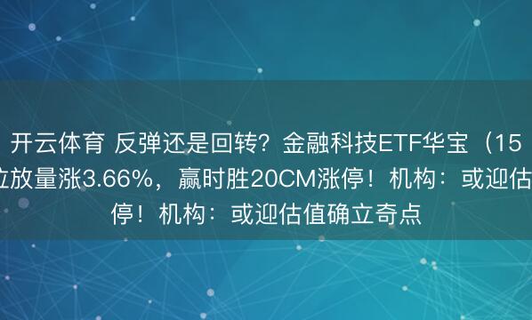 开云体育 反弹还是回转？金融科技ETF华宝（159851）低位放量涨3.66%，赢时胜20CM涨停！机构：或迎估值确立奇点