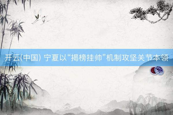 开云(中国) 宁夏以“揭榜挂帅”机制攻坚关节本领
