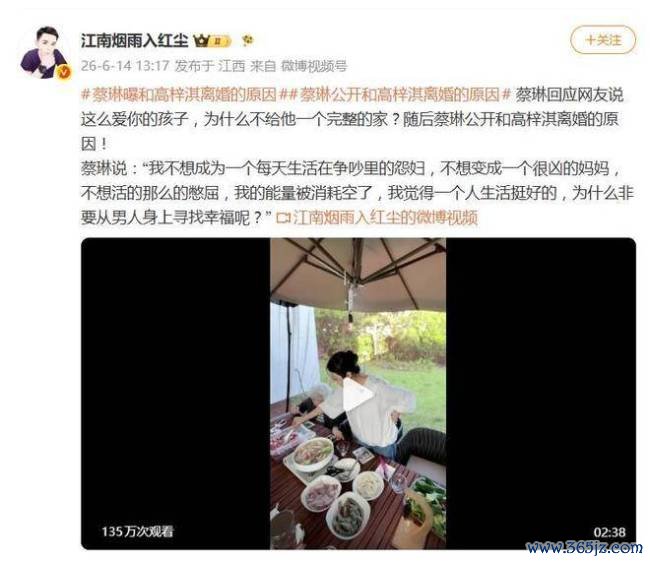 蔡琳首度公开与高梓淇六年跨国婚配闭幕的原因 争吵与压抑浮滥了我