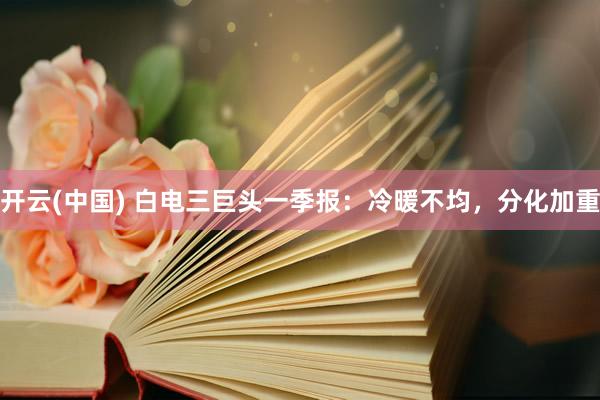 开云(中国) 白电三巨头一季报：冷暖不均，分化加重
