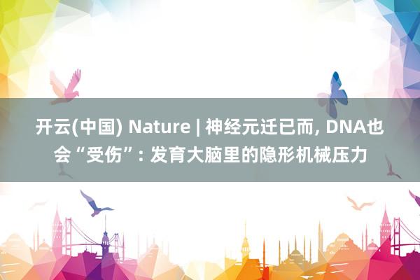 开云(中国) Nature | 神经元迁已而, DNA也会“
